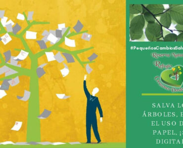 Ahorro de papel: una forma de salvar los árboles