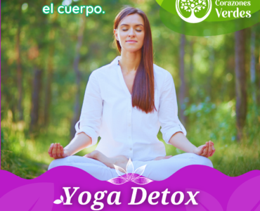 Plan Yoga Detox – Julio 15 y 16 de 2023