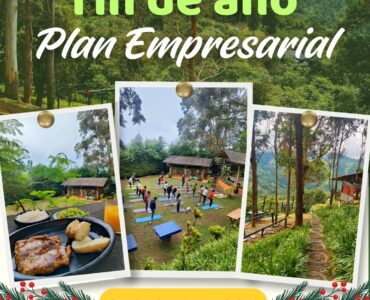 Plan Empresarial- Despedidas de Fin de Año 2025
