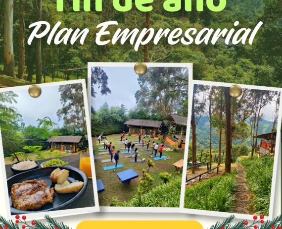 Plan Empresarial- Despedidas de Fin de Año 2025