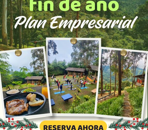 Plan Empresarial- Despedidas de Fin de Año 2025