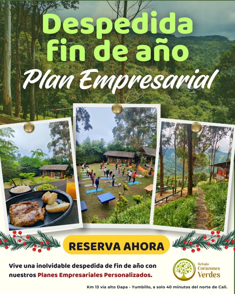 Plan Empresarial- Despedidas de Fin de Año 2025